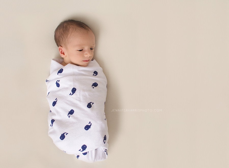 newborn-photoshoot-portland-oregon